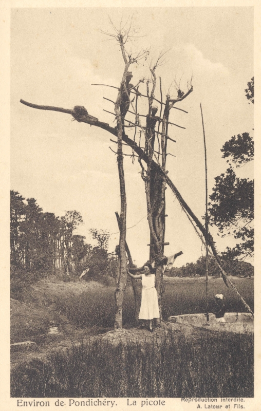 13-23 - Environs de Pondichery - picotte (puits)